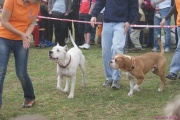 DSC02036.jpg
