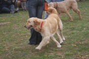 DSC02038.jpg