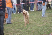 DSC02040.jpg