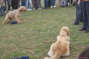DSC02048.jpg