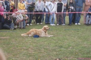 DSC02049.jpg
