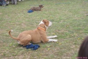 DSC02051.jpg