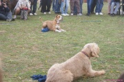 DSC02052.jpg