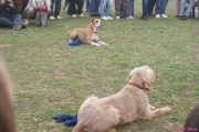 DSC02053.jpg