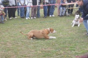 DSC02057.jpg
