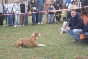DSC02058.jpg