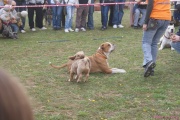 DSC02059.jpg