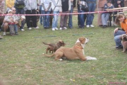 DSC02060.jpg