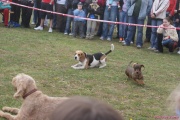 DSC02061.jpg