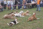 DSC02069.jpg