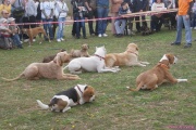 DSC02070.jpg