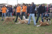 DSC02074.jpg