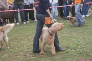 DSC02077.jpg