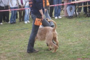 DSC02078.jpg