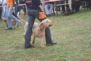 DSC02079.jpg