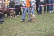 DSC02080.jpg