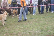 DSC02081.jpg