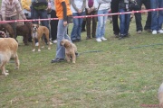 DSC02082.jpg