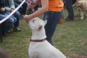 DSC02083.jpg