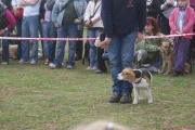 DSC02084.jpg