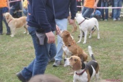 DSC02087.jpg