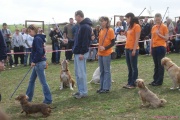 DSC02092.jpg