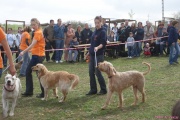 DSC02095.jpg