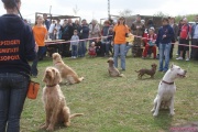 DSC02097.jpg
