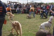 DSC02099.jpg