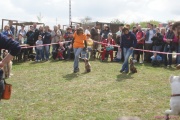 DSC02102.jpg