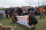 DSC02103.jpg