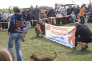 DSC02106.jpg