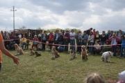 DSC02122.jpg