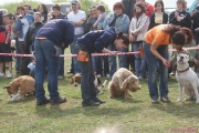DSC02124.jpg