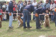 DSC02125.jpg