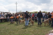 DSC02130.jpg