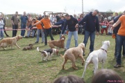 DSC02133.jpg