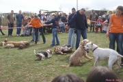 DSC02134.jpg