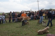 DSC02140.jpg