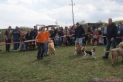 DSC02141.jpg