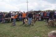 DSC02142.jpg