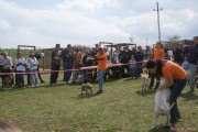 DSC02143.jpg