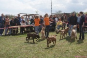 DSC02145.jpg