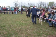 DSC02146.jpg