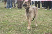 DSC02165.jpg