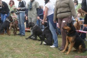 DSC02179.jpg