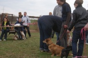 DSC02204.jpg
