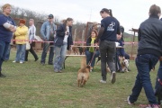 DSC02205.jpg