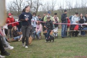 DSC02206.jpg