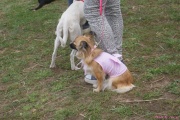 DSC02212.jpg